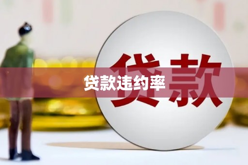 高邑贷款违约率