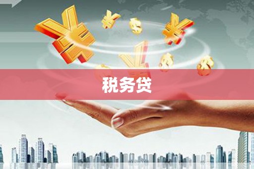 高邑税务贷