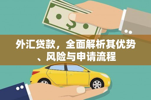 高邑外汇贷款，全面解析其优势、风险与申请流程
