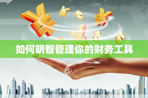 高邑如何明智管理你的财务工具