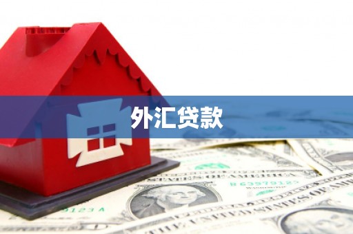 高邑外汇贷款