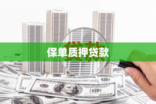高邑保单质押贷款