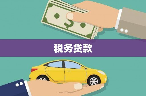 高邑税务贷款