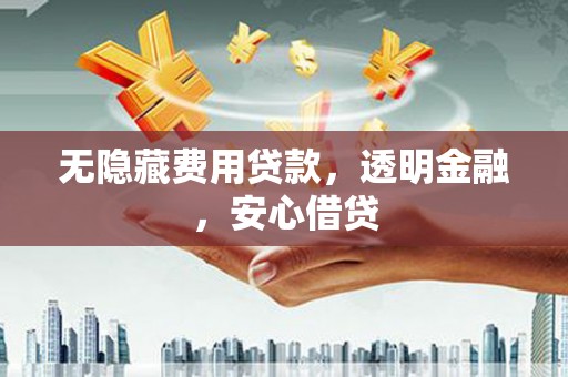 高邑无隐藏费用贷款，透明金融，安心借贷