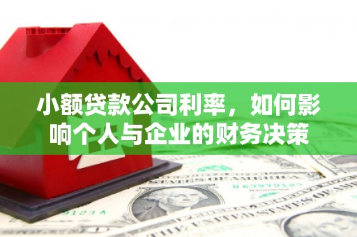 高邑小额贷款公司利率，如何影响个人与企业的财务决策