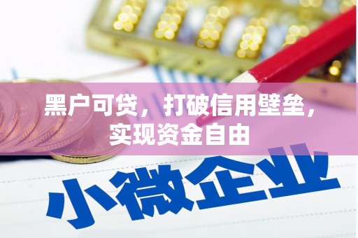 高邑黑户可贷，打破信用壁垒，实现资金自由