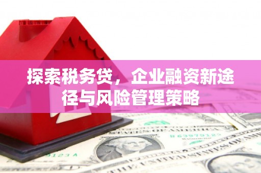 高邑探索税务贷，企业融资新途径与风险管理策略
