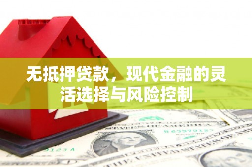 高邑无抵押贷款，现代金融的灵活选择与风险控制