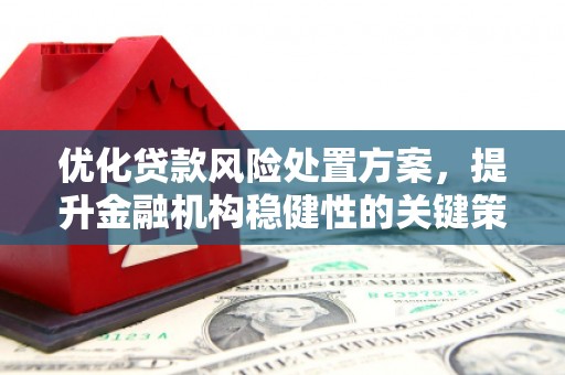 高邑优化贷款风险处置方案，提升金融机构稳健性的关键策略