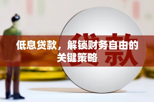 高邑低息贷款，解锁财务自由的关键策略