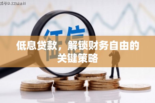 高邑低息贷款，解锁财务自由的关键策略