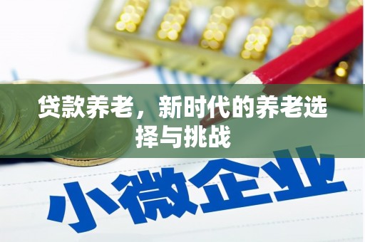 高邑贷款养老，新时代的养老选择与挑战