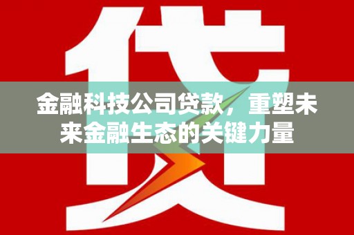 高邑金融科技公司贷款，重塑未来金融生态的关键力量