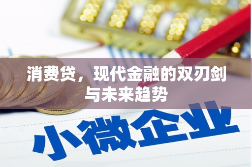 高邑消费贷，现代金融的双刃剑与未来趋势
