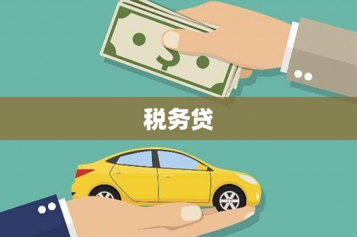 高邑税务贷
