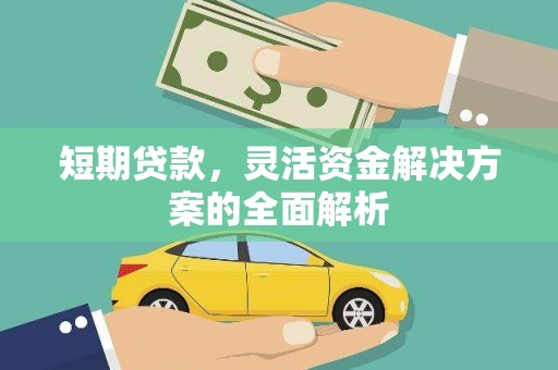 高邑短期贷款，灵活资金解决方案的全面解析