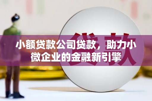 高邑小额贷款公司贷款，助力小微企业的金融新引擎