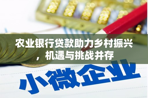 高邑农业银行贷款助力乡村振兴，机遇与挑战并存