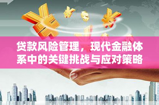 高邑贷款风险管理，现代金融体系中的关键挑战与应对策略