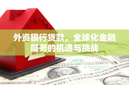 高邑外资银行贷款，全球化金融服务的机遇与挑战