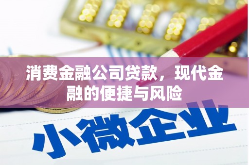 高邑消费金融公司贷款，现代金融的便捷与风险
