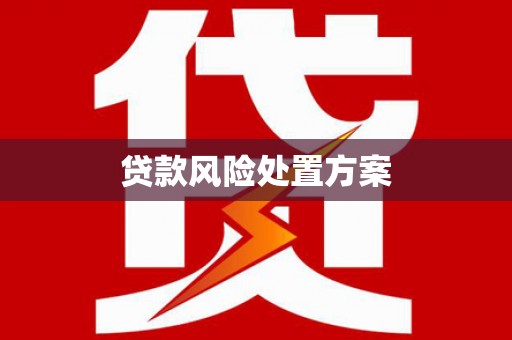 高邑贷款风险处置方案
