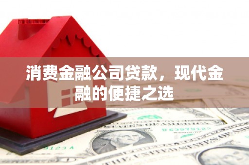 高邑消费金融公司贷款，现代金融的便捷之选